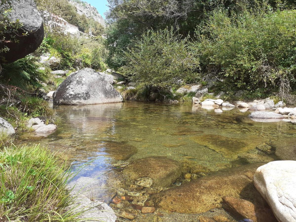 Penedino Mountain Cottage Arcos de Valdevez Dış mekan fotoğraf