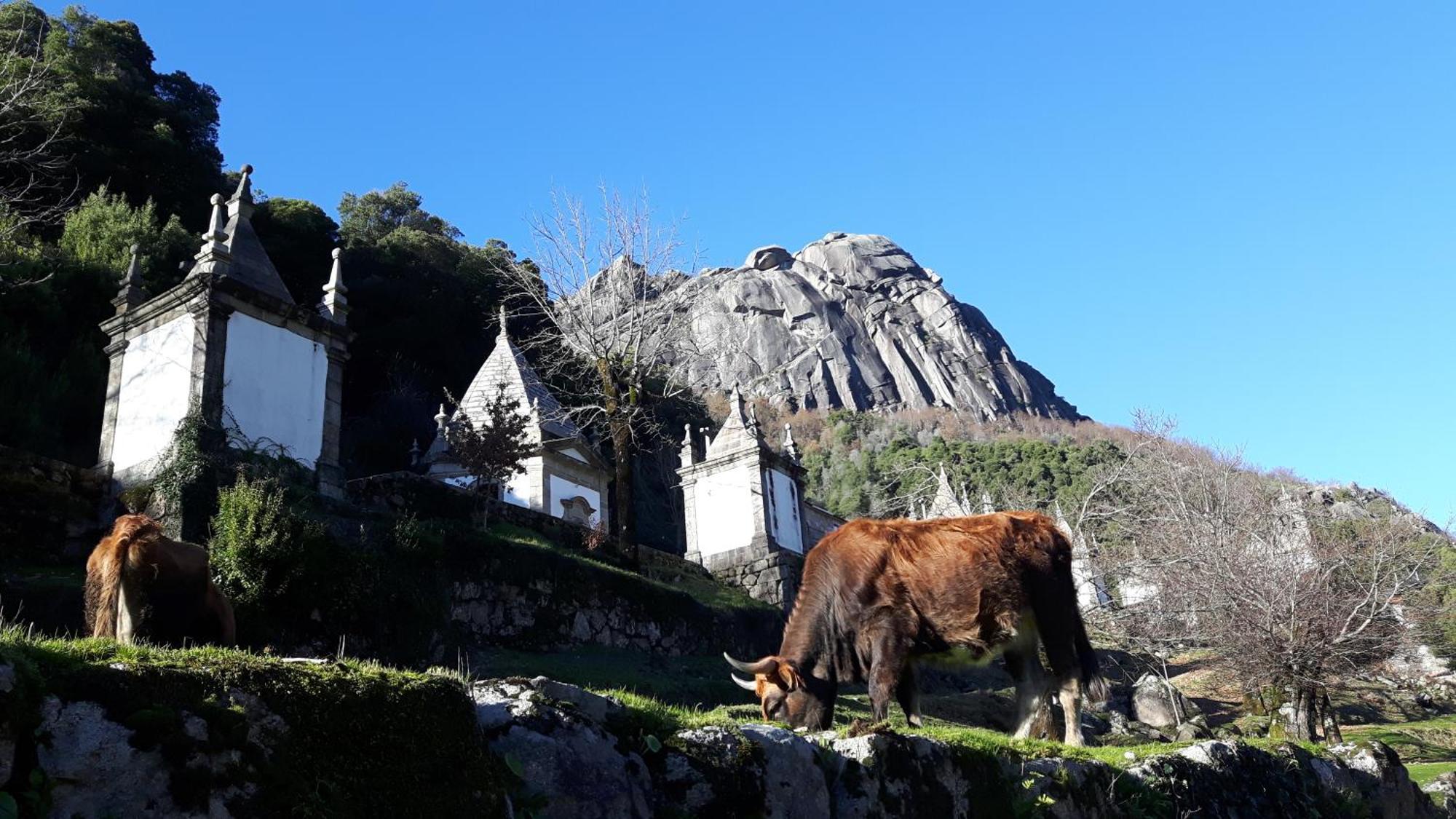 Penedino Mountain Cottage Arcos de Valdevez Dış mekan fotoğraf