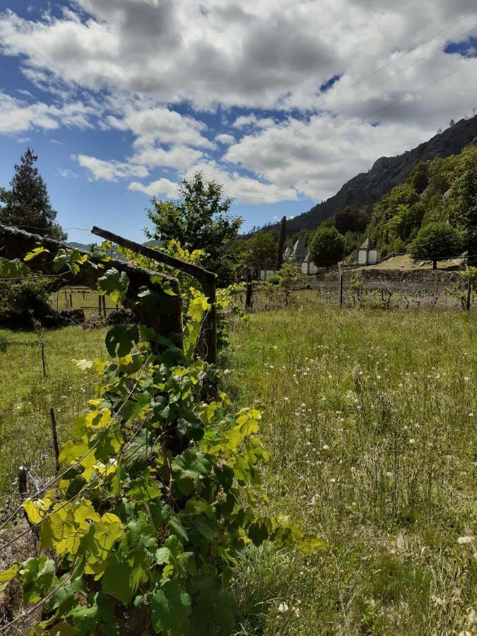 Penedino Mountain Cottage Arcos de Valdevez Dış mekan fotoğraf